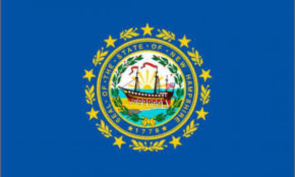 Fahne: US-New Hampshire